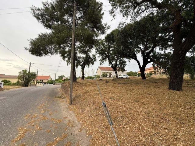 Lote de Terreno para Construção, Tinalhas, Castelo Branco