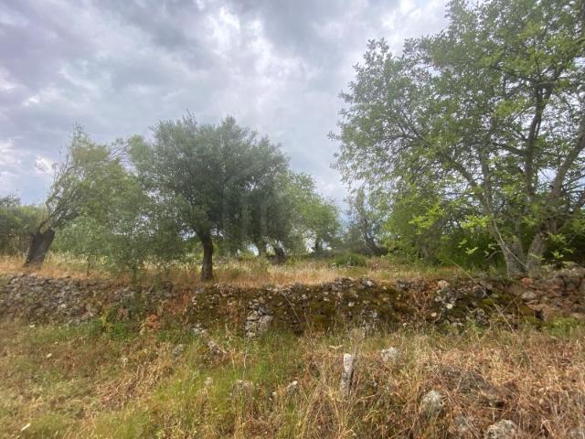 Lote de terreno rústico com a área total de 610m2, Salir, Algarve