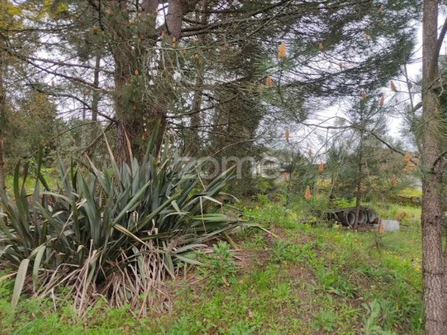 Lote de terreno urbanizável Venha construir o seu sonho