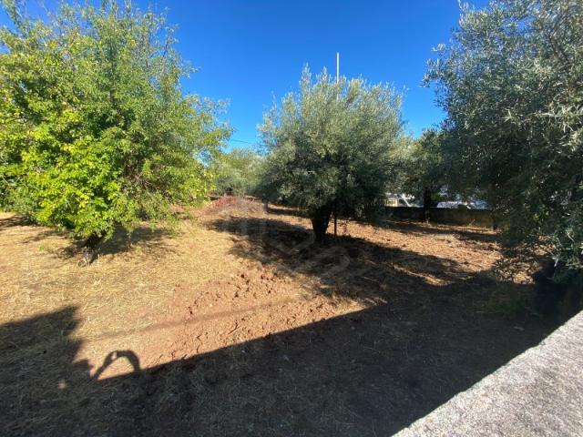 Lote de Terreno urbano no centro Salir, Loulé, Algarve