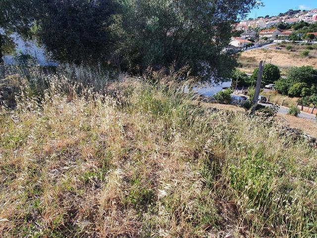 Lote de Terreno Urbano
