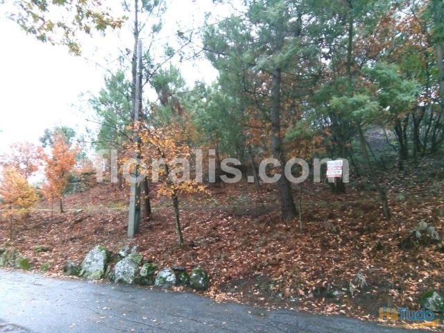 Lote de Terreno Venda em Bodiosa,Viseu | 26063350977