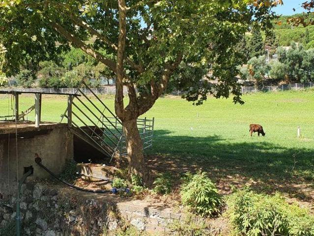 Lote de Terreno Venda em Barcarena,Oeiras | 26064075437