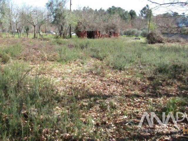 Lote de Terreno Venda em Barreiros e Cepões,Viseu | 26073254889