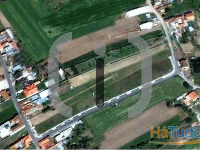 Lote de Terreno Venda em Requeixo, Nossa Senhora de Fátima e Nariz,Aveiro | 26063818153