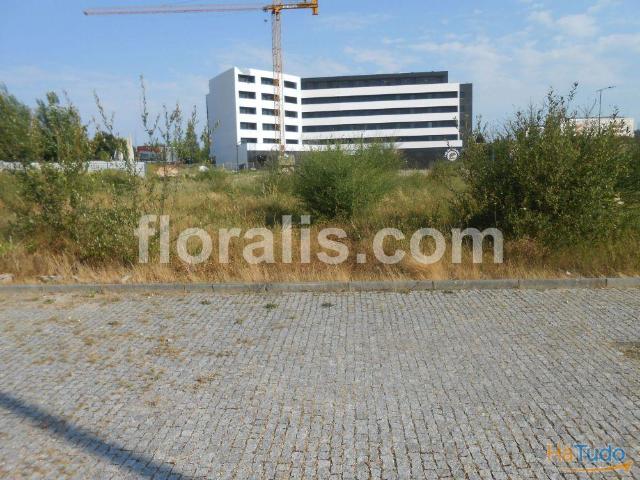 Lote de Terreno Venda em Viseu,Viseu | 26063350921