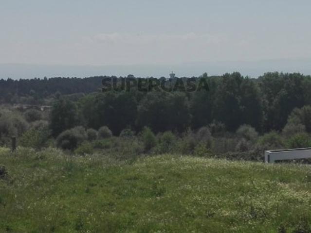 Lote de Terreno, Viseu