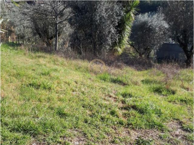 Lote de Terreno, Viseu