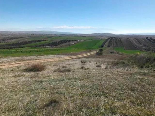 LOTE DE TERRENOS RÚSTICOS EN CHIMENEAS!