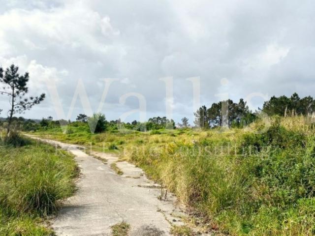 Lote de 14.006 m2 no Belas Clube de Campo | Wallis Real Estate