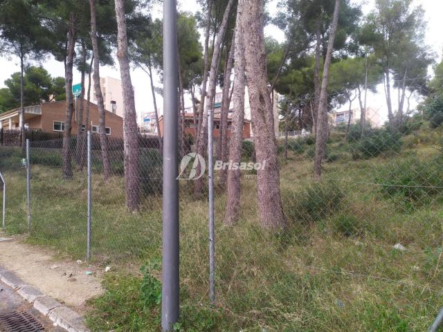 LOTE DE 5 PARCELAS
