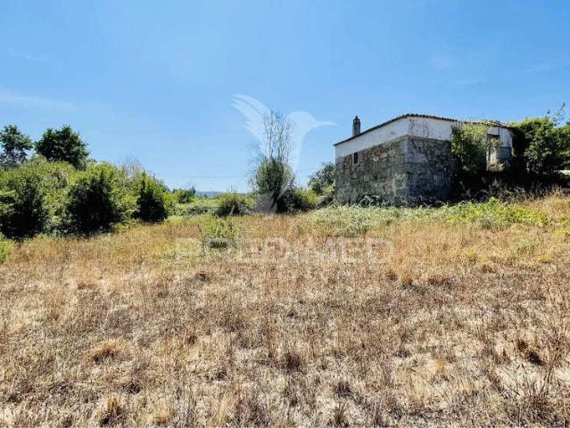 Lote de 7 Terrenos em Tábua