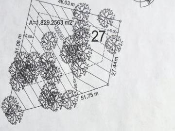 Lote exclusivo en venta en La Bosqueda, Tapalpa – 1,829 m² rodeado de bosque y paz