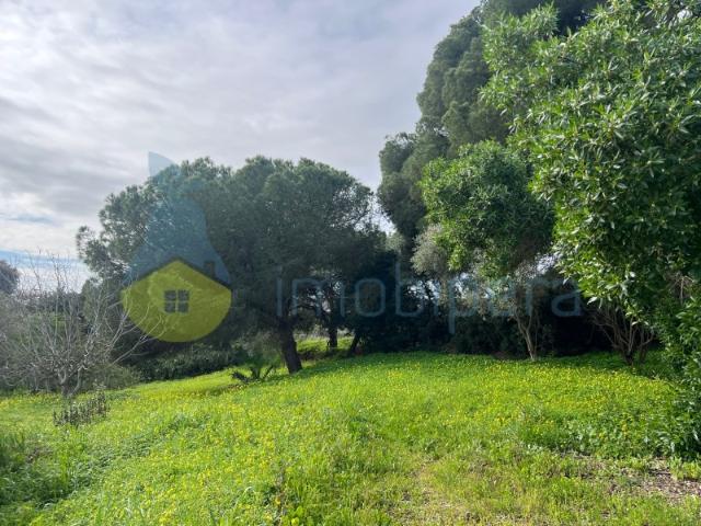 LOTE EXCLUSIVO PARA MORADIA DE SONHO COM PISCINA NA QUINTA DOS BARRANCOS