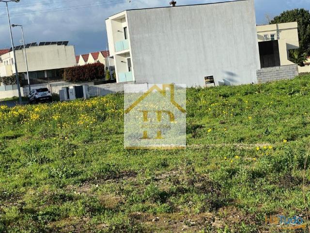 Lote em Gaveto em Palmeira | 26083730309