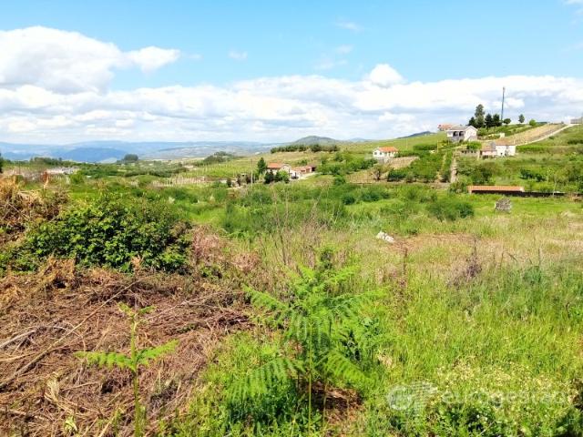 Lote em Lamego