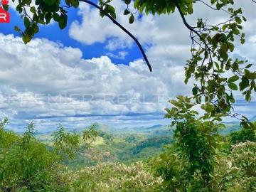 LOTE EN CASCAJAL – LA PINTADA L2009 192