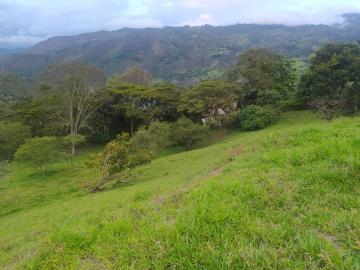 Lote En Venta En Macanal En. V197401