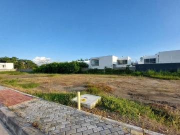 Lote En Venta En Monteria En Urbanizacion Picacho V362560