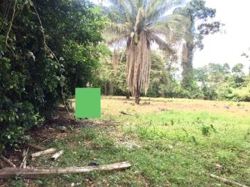 Lote En Venta En Nilo En La Esmeralda V222268
