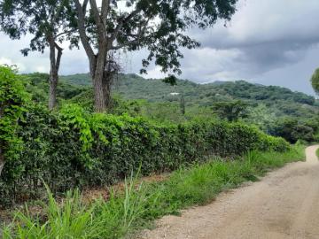 Lote En Venta En Anapoima En Anapoima V394024