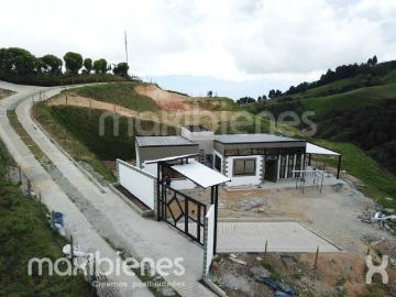 Lote En Venta En Bello En San Pedro V393000