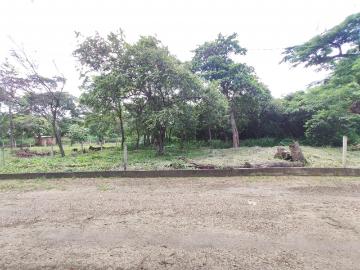 Lote En Venta En Cucuta En Bocono V368264