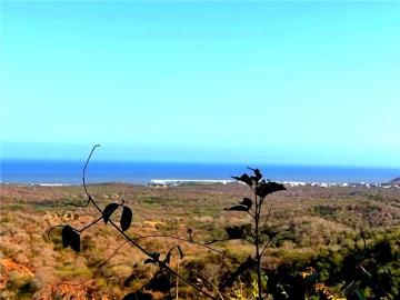Lote En Venta En Juan De Acosta En. V211537