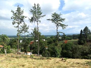 Lote En Venta En Jamundi En Miravalle V118860