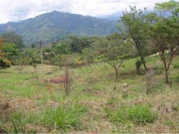 Lote En Venta En La Mesa En Vereda La Trinidad V222812
