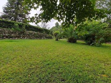 LOTE EN VENTA EN LLANO GRANDE, XICOTEPEC