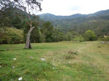 Lote En Venta En Los Patios V131265