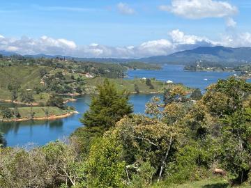 Lote En Venta En El Penol En Vereda La Chapa V203581