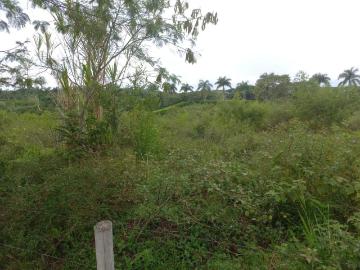 Lote En Venta En Pereira V59598