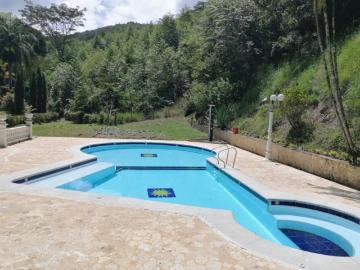 Lote En Venta En San Jeronimo En San Jeronimo V365933
