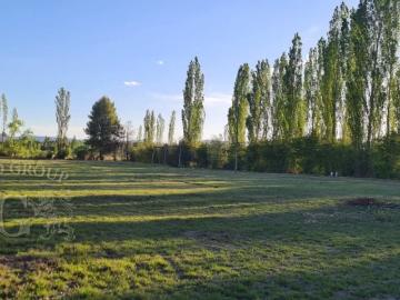 Lote en Venta San Rafael Mendoza