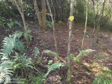 Lote en Venta Valle Santana