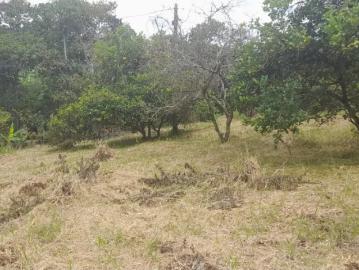 Lote en venta
