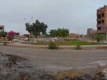 Lote frente a parque en los Ficus II de Carabayllo