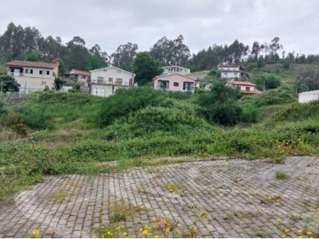 Lote Guilhofrei