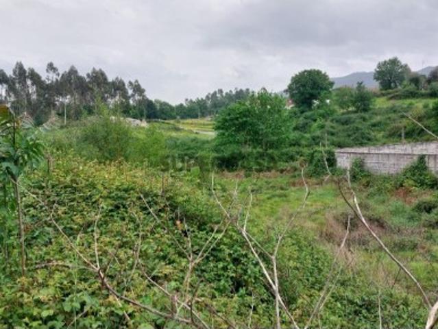 Lote Guilhofrei