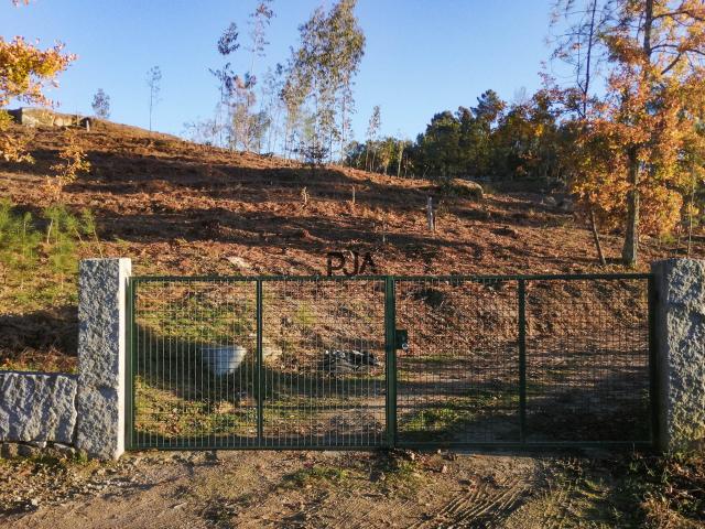 Lote Industrial, Mangualde, Mesquitela e Cunha Alta, Mangualde | BPI Expresso Imobiliário