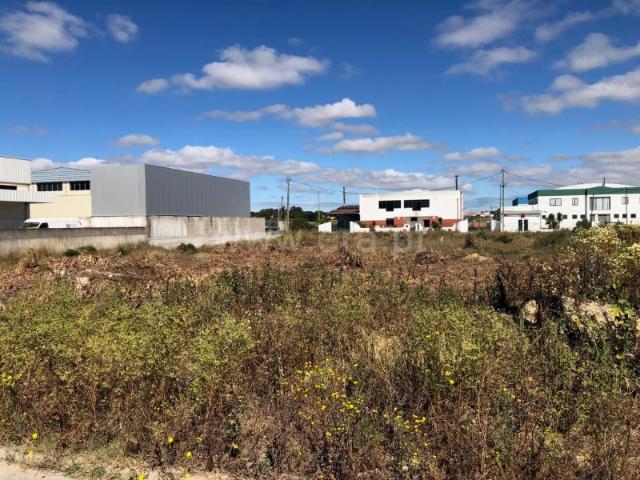 Lote Industrial, Pinhal Novo, Palmela | BPI Expresso Imobiliário