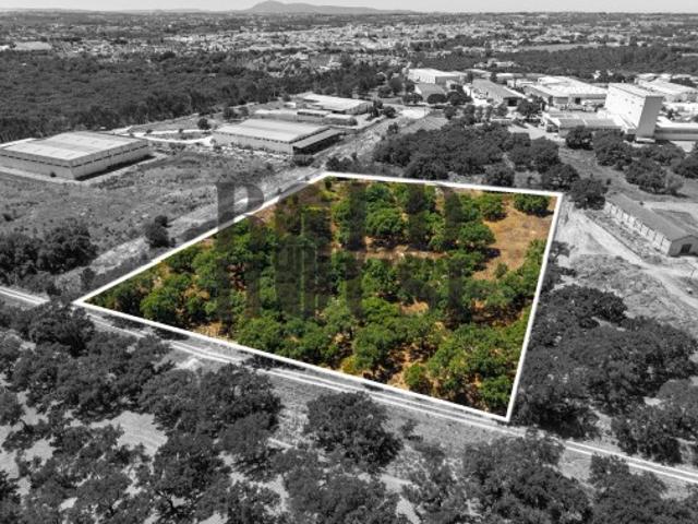 Lote Industrial Venda em Vila Chã de Ourique,Cartaxo