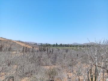 Lote Palmitas Vista Pueblo El Pescadero B. C.S