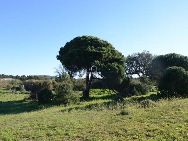 Lote para construção Moradias na aldeia da Maçã Sesimbra