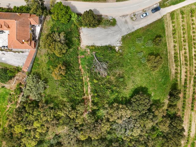 Lote para Construção com 993m² Cadaval