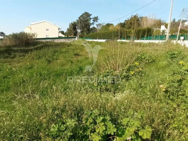 Lote para construção em Azeitão