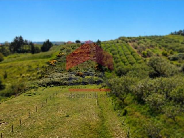 Lote para construção localizado na tranquila zona de Casais da Navalha perto de Usseira Óbidos