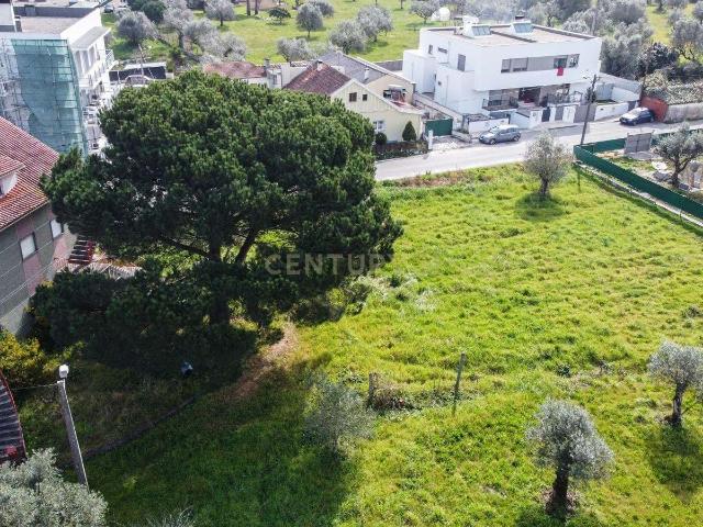 Lote para Construção || Viabilidade para 12 Frações || Pombal